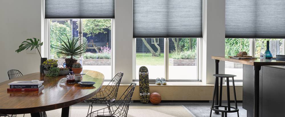 Duette® blinds