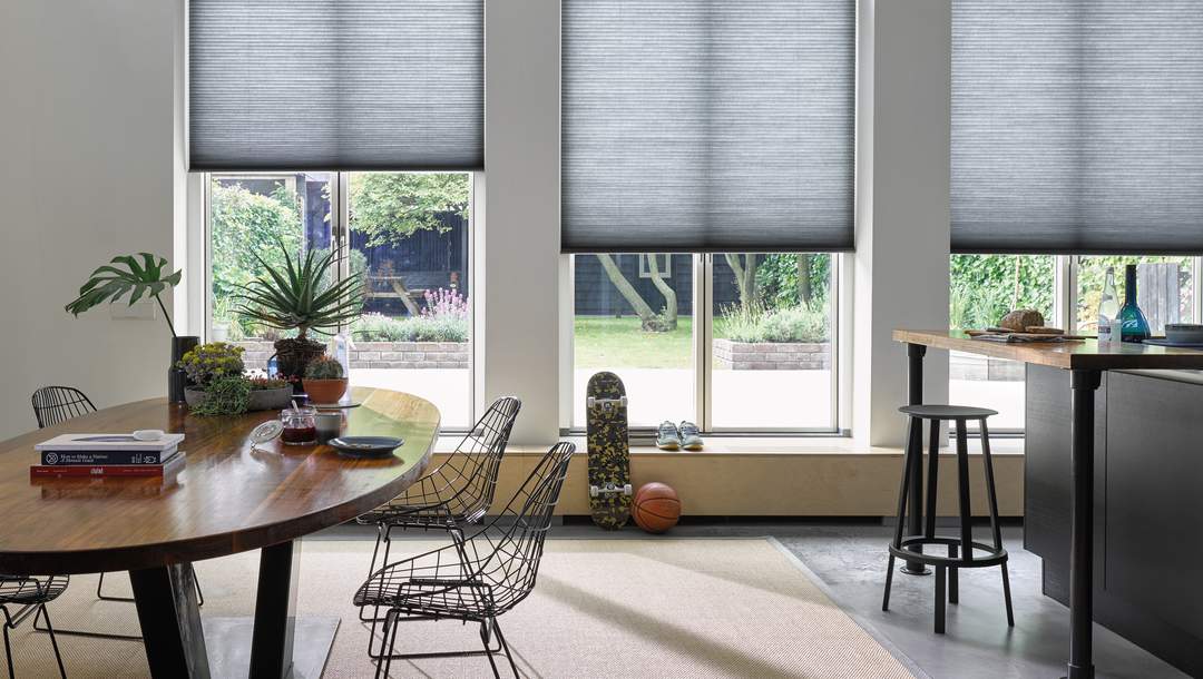 Duette® blinds