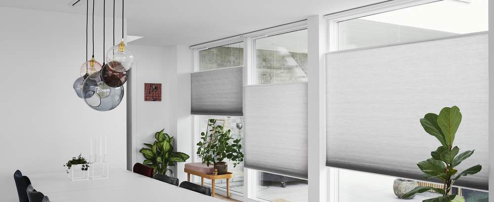 Duette® blinds