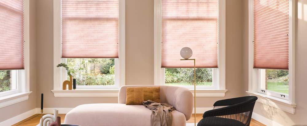 Duette® blinds