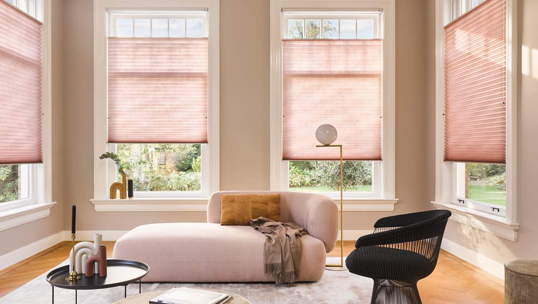 Duette® blinds