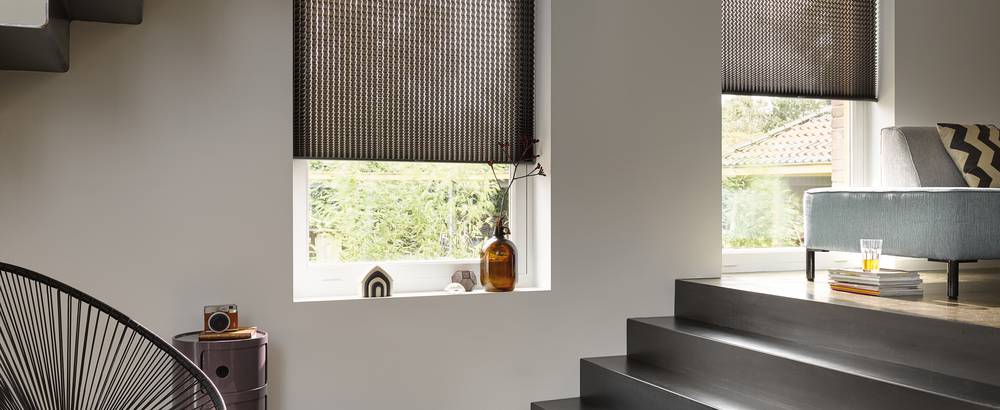 Light filtering Plisse Shades
