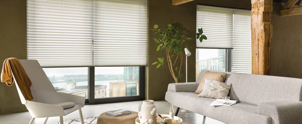 Living Room - pleated blinds