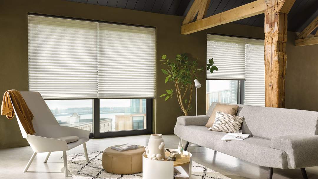Living Room - pleated blinds