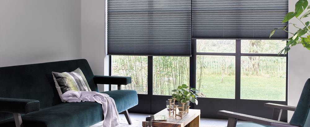 Living room pleated blinds