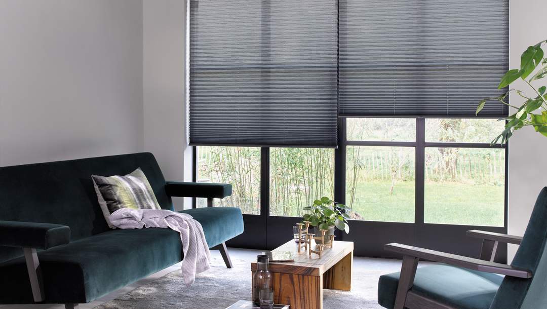 Living room pleated blinds