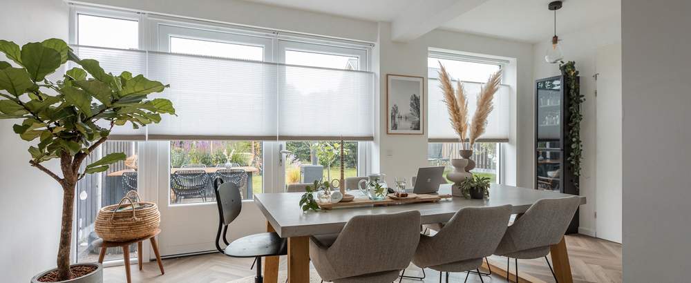 Duette® blinds