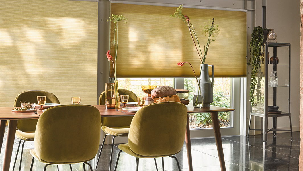 Luxaflex Duette Shades Living Room